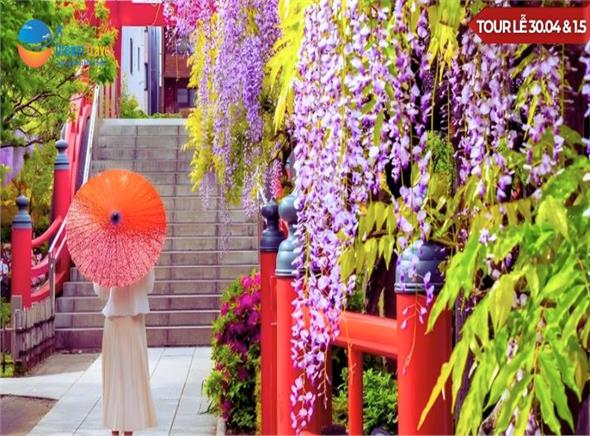 Tour Nhật Bản Lễ 30/4: Khám Phá Hokkaido Mùa Hoa Anh Đào